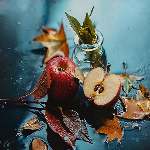 نکات طلایی برای ثبت تصاویر متفاوت از طبیعت